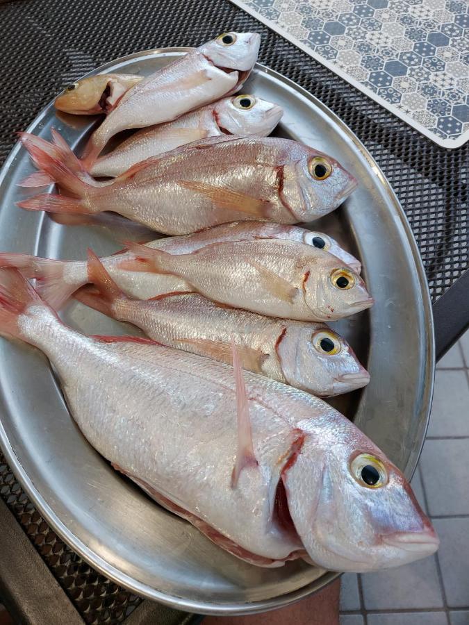 Appartamento La Coffa Agnone Cilento Esterno foto