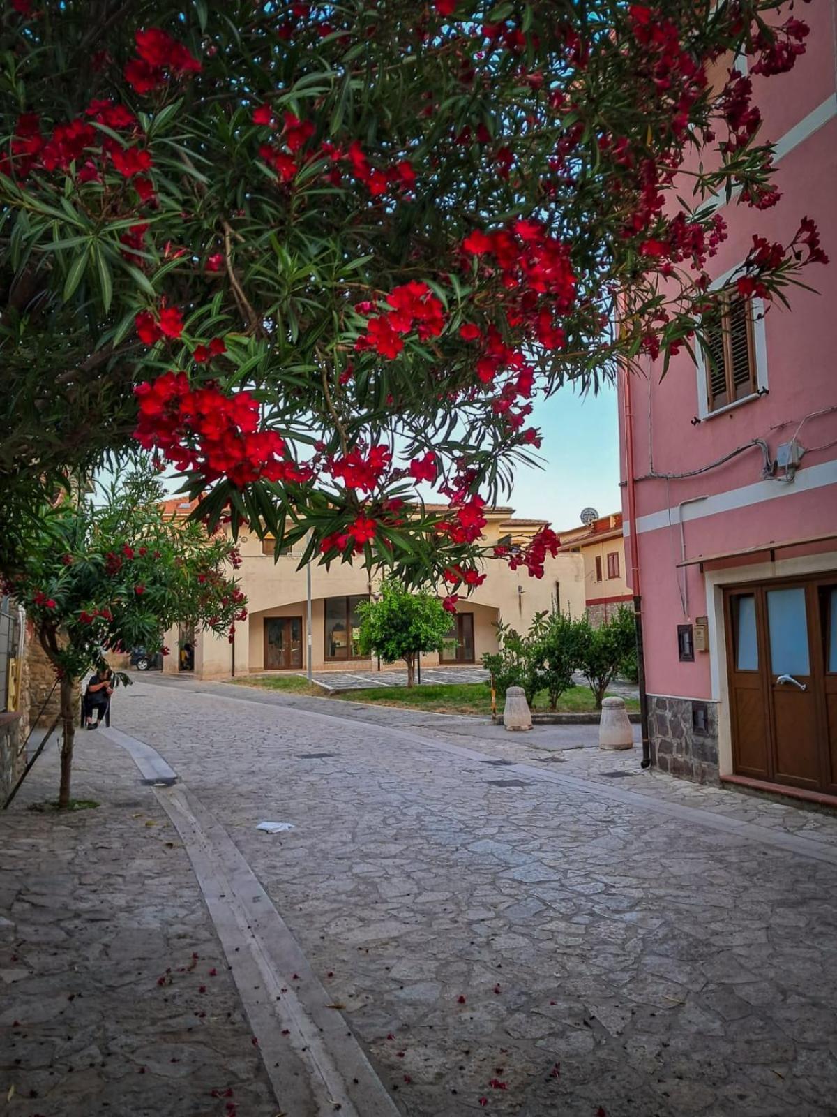 Appartamento La Coffa Agnone Cilento Esterno foto